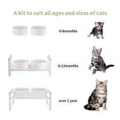 CEEFU Elevated Dog Bowl Cat Bowls With Stand, Adjustable Raised Pet Bowl Stand Feeder, Anti-Slip Metal Wire Stand With 2 Ceramic Bowls -Pet Products Shop 41waYF3q6bL