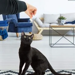 Cat-Man-Doo Extra Large Dried Bonito Flakes Treats For Dogs & Cats - All Natural High Protein Flakes - 4oz. / 112g Bag -Pet Products Shop 41yETKJffAL