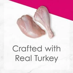 Purina Fancy Feast Pate Wet Kitten Food, Tender Turkey Feast - (24) 3 Oz. Cans -Pet Products Shop 41yOAj19bzL