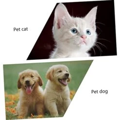 VILLCASE Funny Cat Toy Toys For Dogs Small Cat Toys Kitten Toys Interactive Cat Ferris Wheel Cat Food Dispenser Pet Windmill Toy Pet Feeding Toy Pet Food Dispenser Cat Feeding Toy -Pet Products Shop 41zO8i5KpIL