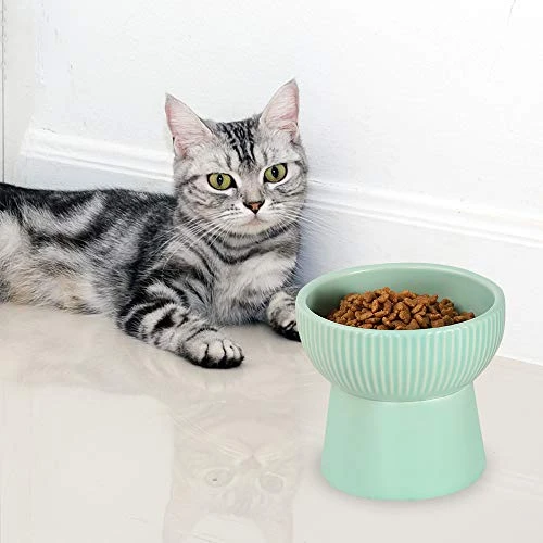 Green Ceramic Raised Cat Bowls, Elevated Food Or Water Bowls, Stress Free, Backflow Prevention, Dishwasher And Microwave Safe, Lead & Cadmium Free 6 Green Ceramic Raised Cat Bowls, Elevated Food Or Water Bowls, Stress Free, Backflow Prevention, Dishwasher And Microwave Safe, Lead & Cadmium Free - Image 4