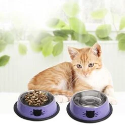 Cat Bowls For Food And Water, 2PCS Rapsrk Non-Slip Stainless Steel Small Cat Food Bowls 8 Oz Pet Bowl With Removable Rubber Base Cat Dog Bowl,Stackable Cat Puppy Dishes Cat Bowls With Cute Cat Painted 15 Cat Bowls For Food And Water, 2PCS Rapsrk Non-Slip Stainless Steel Small Cat Food Bowls 8 Oz Pet Bowl With Removable Rubber Base Cat Dog Bowl,Stackable Cat Puppy Dishes Cat Bowls With Cute Cat Painted -Pet Products Shop 41zlz2bUF6L