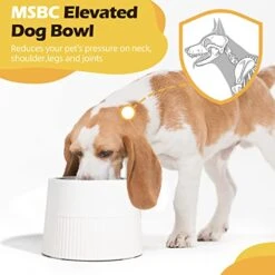 MSBC Elevated Dog Bowl, 15oz Small Raised Dog Feeder With Removable Stainless Steel Food And Water Bowl, Non-Skid & Non-Spill Dog Dish For Small Dogs And Cats, Raised Cat Bowl, Dishwasher Safe, White 13 MSBC Elevated Dog Bowl, 15oz Small Raised Dog Feeder With Removable Stainless Steel Food And Water Bowl, Non-Skid & Non-Spill Dog Dish For Small Dogs And Cats, Raised Cat Bowl, Dishwasher Safe, White -Pet Products Shop 41zwJ4LJUFL