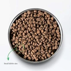 Open Farm Wild-Caught Salmon Grain-Free Dry Cat Food, Responsibly Sourced Pacific Salmon Recipe With Non-GMO Superfoods And No Artificial Flavors Or Preservatives, 2 Lbs -Pet Products Shop 510H93GJ5IL