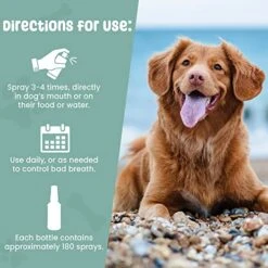 SCD Probiotics Breath Spray For Dogs – Freshens Breath Naturally With Probiotics And Supports Long-Term Dental Health, Dog Breath Freshener, Pet Dental Spray And Water Additive – 4.4 Fl.oz -Pet Products Shop 510yb78nHvL