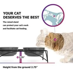 Y YHY Cat Food Bowls, Elevated Cat Bowls, Raised Pet Food Water Bowls With Stand, Ceramic Pet Bowls For Cat Or Dogs, 12 Ounces Cat Dishes, Grey 8 Y YHY Cat Food Bowls, Elevated Cat Bowls, Raised Pet Food Water Bowls With Stand, Ceramic Pet Bowls For Cat Or Dogs, 12 Ounces Cat Dishes, Grey -Pet Products Shop 511ZrRTZRBL