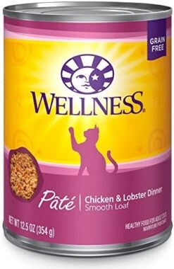 Wellness Complete Health Seafood Pate Favorites Variety Pack, 3 Ounces (Pack Of 24) 30 Wellness Complete Health Seafood Pate Favorites Variety Pack, 3 Ounces (Pack Of 24) -Pet Products Shop 511yZmFQ5L. AC
