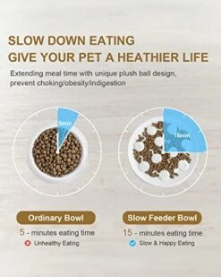 Raised Cat Dog Slow Feeder Bowl With Stand, Cat Bowls For Slow Eating, Ceramic Elevated Slow Feed Cat Bowls, Pet Bowl For Cat And Dog, Cat Puzzle Feeder For Healthy Eating Diet, 3'' High, 8.5'' Wide 8 Raised Cat Dog Slow Feeder Bowl With Stand, Cat Bowls For Slow Eating, Ceramic Elevated Slow Feed Cat Bowls, Pet Bowl For Cat And Dog, Cat Puzzle Feeder For Healthy Eating Diet, 3'' High, 8.5'' Wide -Pet Products Shop 512EooBB4nL