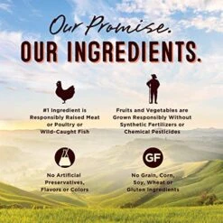 Castor & Pollux Pristine Grain Free Cage-Free Duck Recipe Morsels In Gravy Cat Food Pouches, 3 Oz (Pack Of 24) -Pet Products Shop 513ZyzDNF2L