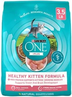 Purina ONE High Protein, Natural Dry Kitten Food, +Plus Healthy Kitten Formula - 16 Lb. Bag 21 Purina ONE High Protein, Natural Dry Kitten Food, +Plus Healthy Kitten Formula - 16 Lb. Bag -Pet Products Shop 513dtngYYxL. AC