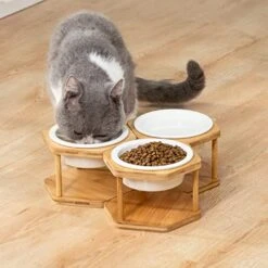 Lusifaco Set Of 3 Single Elevated Cat Bowls, Stainless Steel Raised Cat Food Water Bowl With Bamboo Stand, Pet Dishes Stand Feeder With Anti Slip Feet For Cats And Small Dogs, 13 Oz(Stainless Steel) -Pet Products Shop 513eCDJuXIL