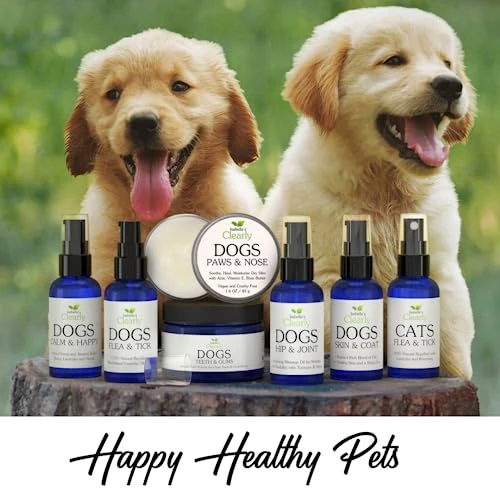 Isabella's Clearly Teeth & Gums For Dogs, Natural Toothpaste Powder Freshens Breath, Fights Plaque, Reduces Tartar | Tasty Cinnamon With Coconut And Kelp | Vegan, Made In The USA (Without Toothbrush) 8 Isabella's Clearly Teeth & Gums For Dogs, Natural Toothpaste Powder Freshens Breath, Fights Plaque, Reduces Tartar | Tasty Cinnamon With Coconut And Kelp | Vegan, Made In The USA (Without Toothbrush) - Image 6