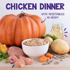 Earthborn Holistic Chicken Fricatssee Grain-Free Moist Cat Food Purple 24 Count (Pack Of 1) -Pet Products Shop 515BYHbcYrL