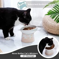 TAMAYKIM Tilted Ceramic Elevated Cat Bowls, Raised Food And Water Bowl Set For Kitty Cats And Small Dogs, Porcelain Elevated Stress Free Feeding Pet Bowl Dish, Black & Orange, Set Of 2 -Pet Products Shop 515zEcIS1JL