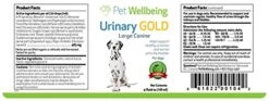 Pet Wellbeing Urinary Gold For Dogs & Cats - Vet-Formulated - Urinary Tract Health, UTI & Bladder Infection, Normal Urine PH - Natural Herbal Supplement 4 Oz (118 Ml) 7 Pet Wellbeing Urinary Gold For Dogs & Cats - Vet-Formulated - Urinary Tract Health, UTI & Bladder Infection, Normal Urine PH - Natural Herbal Supplement 4 Oz (118 Ml) -Pet Products Shop 51643lp0EgL