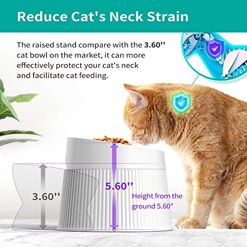 Uahpet Elevated Cat Food Bowl Super Widen Raised Cat Food Dishes For Protecting Spine, Reliefing Whisker Fatigue, Anti-Vomiting 17° Tilted Pet Feeding Bowls With Silicone Mat For Indoor Cats 4 Uahpet Elevated Cat Food Bowl Super Widen Raised Cat Food Dishes For Protecting Spine, Reliefing Whisker Fatigue, Anti-Vomiting 17° Tilted Pet Feeding Bowls With Silicone Mat For Indoor Cats - Image 2