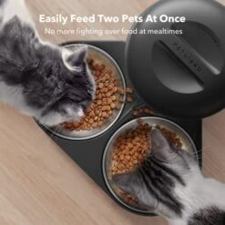 PETLIBRO Automatic Cat Food Dispenser For Two Cats 5L Auto Cat Feeder Dry Food Dispenser With Splitter & 2 Stainless Bowls, 10s Meal Call And Timer Setting 50 Portions 6 Meals Per Day For Cat And Dog -Pet Products Shop 516b0w6jHYL