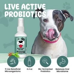 SCD Probiotics Breath Spray For Dogs – Freshens Breath Naturally With Probiotics And Supports Long-Term Dental Health, Dog Breath Freshener, Pet Dental Spray And Water Additive – 4.4 Fl.oz -Pet Products Shop 517fEMTD9CL