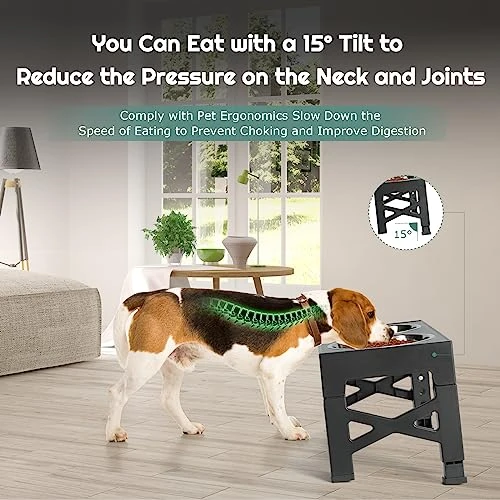 ODRIEW Elevated Dog Bowls, 5 Adjustable Heights Raised Dog Bowl Stand With 2 Stainless Steel Dog Food Bowls And 1 Slow Food Bowl, Tiltable Neck Guard For Small Medium Large Pets Dogs And Cats (Grey) 7 ODRIEW Elevated Dog Bowls, 5 Adjustable Heights Raised Dog Bowl Stand With 2 Stainless Steel Dog Food Bowls And 1 Slow Food Bowl, Tiltable Neck Guard For Small Medium Large Pets Dogs And Cats (Grey) - Image 5