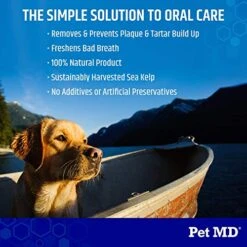 Pet MD Proden PlaqueOff Dog Teeth Cleaning Dental Care Powder - Oral Care Supplement For Dogs - Reduce Bad Breath, Tartar, & Plaque - 60g -Pet Products Shop 5185GiIMAQL