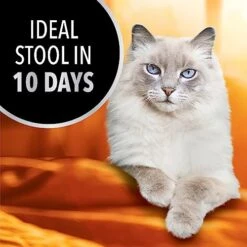 Iams Advanced Health Healthy Digestion Turkey And Chicken Recipe Adult Dry Cat Food, 16 Lb. Bag -Pet Products Shop 518e4eNOqYL