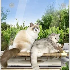 Cat Window Perch,Cat Hammock For Indoor/Outdoor Large Gat -Pet Products Shop 518ueKTIgqL