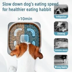 Slow Feeder Dog Bowls, Nayelf Dog Slow Feeder Bowl Stainless Steel, Dog Bowl Slow Feeder With Non-Slip Licking Mat Slow Feeder Dog Bowls Snack Bowl Dog Slow Food Feeding Slow Eating Healthy -Pet Products Shop 51904jPKwsL