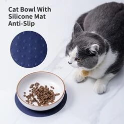 Howise 6inch Ceramic Cat Bowls With Non-Slip Mat | 3 Cat Dishes For Food And Water Set | Wide Shallow Cat Bowl Relief Whisker Fatigue | Cat Food Bowl Pet Kitten Bowl, White Cat Dish 11 Howise 6inch Ceramic Cat Bowls With Non-Slip Mat | 3 Cat Dishes For Food And Water Set | Wide Shallow Cat Bowl Relief Whisker Fatigue | Cat Food Bowl Pet Kitten Bowl, White Cat Dish -Pet Products Shop 5193pYNOgyL