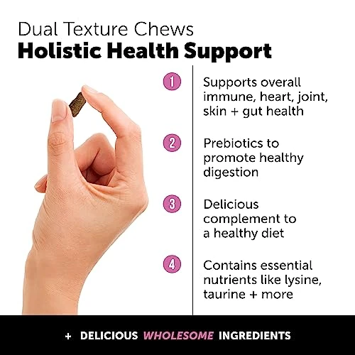 Pet Honesty Cat Multivitamin Chews - Supports Overall Immune Health, Joints, Skin & Coat, And Digestion | Omega 3s, Lysine For Cats, Probiotics, Cat Supplements & Vitamins - Chicken (30-Day Supply) 4 Pet Honesty Cat Multivitamin Chews - Supports Overall Immune Health, Joints, Skin & Coat, And Digestion | Omega 3s, Lysine For Cats, Probiotics, Cat Supplements & Vitamins - Chicken (30-Day Supply) - Image 2