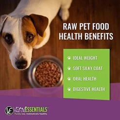 Vital Essentials 6 Pack Premium USA Made Grain Free Freeze-Dried Minnows Dog Treats For Trainings - 1 Ounce Each Bag -Pet Products Shop 51AqfLda8mL