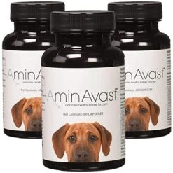 AminAvast Kidney Support Supplement For Cats And Dogs, 1000mg 3-Pack - Promotes Natural Kidney Function - Aids In Health And Vitality Of Aging Kidneys - Easily Administered - 60 Sprinkle Capsules