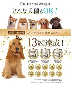 Dr. Dental Wan Cat Dog Toothpaste Toothbrush Set | Pet Breath Freshener | Japan Quality | Reduce Plaque & Tartar | Formulated By Vet And Pet Trainer | Best Organic Pet Dental Care Gel -Pet Products Shop 51BNj1AVr2L