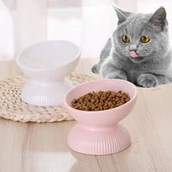 Raised Cat Food Bowls Ceramic - Tilted Elevated Cat Bowls Anti Vomiting - 4.9 In Small Cat Bowl For Dry Wet Food - Stress Free Shallow Cat Feeding Bowls For Whisker Fatigue - Dishwasher Safe - 4oz 12 Raised Cat Food Bowls Ceramic - Tilted Elevated Cat Bowls Anti Vomiting - 4.9 In Small Cat Bowl For Dry Wet Food - Stress Free Shallow Cat Feeding Bowls For Whisker Fatigue - Dishwasher Safe - 4oz -Pet Products Shop 51Bir4seasL