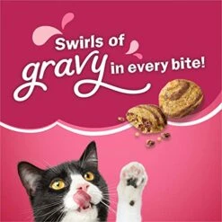 Purina Friskies Dry Cat Food, Gravy Swirlers - 22 Lb. Bag 8 Purina Friskies Dry Cat Food, Gravy Swirlers - 22 Lb. Bag -Pet Products Shop 51ByQosrpHL
