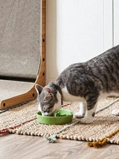 Ceramic Slow Feeder Dog Bowls Small Breed, 0.5 Cups Dog Food Dish For Fast Eaters, Puzzle Bowl For Small Dogs And Cats,5.5 Inch-Green 18 Ceramic Slow Feeder Dog Bowls Small Breed, 0.5 Cups Dog Food Dish For Fast Eaters, Puzzle Bowl For Small Dogs And Cats,5.5 Inch-Green -Pet Products Shop 51C53Lak8tL