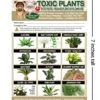 TLC Safety By Design Enhanced Toxic Plants Flowers TRADEMARKED Poison For Pets Dogs Cats Emergency Home Alone 5” X 7” Veterinarian Approved Refrigerator Safety Magnet (Qty. 1) -Pet Products Shop 51C5S9BhMRL