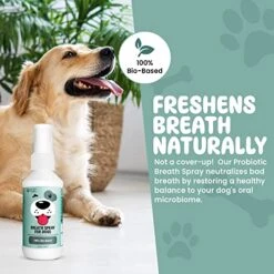 SCD Probiotics Breath Spray For Dogs – Freshens Breath Naturally With Probiotics And Supports Long-Term Dental Health, Dog Breath Freshener, Pet Dental Spray And Water Additive – 4.4 Fl.oz -Pet Products Shop 51C7fI3mrNL