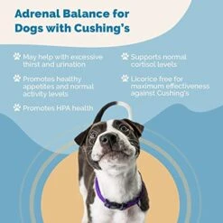Adrenal Balance For Dogs With Cushing’s & Immunity Blend (Formerly C-Support) Supplement For Dogs & Cats -Pet Products Shop 51EZ5cdJNtL