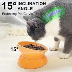 GENERIC PAILUOMU Ceramic Raised Cat Bowl, Set 2 Tilted Elevated Pet Food And Water Bowls, Stress Free Cat Dog Feeder Dish, Suitable For Small, Medium Cats And Dogs,Yellow -Pet Products Shop 51F0kjvv1XL