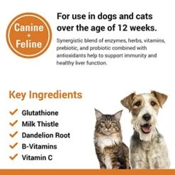 Vet Classics Liver Support Pet Health Supplement For Dogs, Cats – Liver Functions – B-Vitamins, Glutathione, Milk Thistle – Soft Tablets, Chews – 60 Soft Chews -Pet Products Shop 51G5Jr90HIL