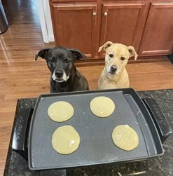 PawCakes - Pancake Mix For Dogs, Veterinarian Developed, All Natural, Gluten Free, Dog And Puppy Treats -Pet Products Shop 51H3SbTGoQL
