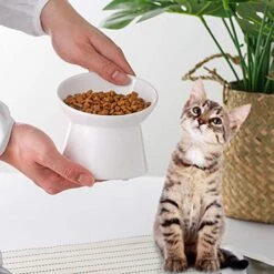 White Small Ceramic Raised Cat Bowls, Tilted Elevated Food Or Water Bowls, Stress Free, Backflow Prevention, Dishwasher And Microwave Safe, Lead & Cadmium Free -Pet Products Shop 51HgnXsa1NL