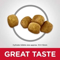 Hill's Science Diet Dry Cat Food, Adult, Oral Care, Chicken Recipe, 7 Lb. Bag -Pet Products Shop 51Ht0ic9EgL