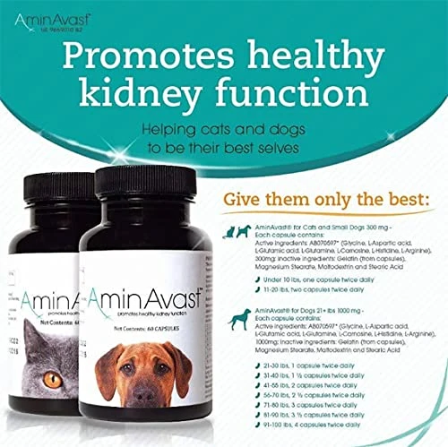 AminAvast Kidney Support Supplement For Cats And Dogs, 300mg - Promotes Natural Kidney Function - Aids In Health And Vitality Of Aging Kidneys - Easily Administered - 60 Sprinkle Capsules 6 AminAvast Kidney Support Supplement For Cats And Dogs, 300mg - Promotes Natural Kidney Function - Aids In Health And Vitality Of Aging Kidneys - Easily Administered - 60 Sprinkle Capsules - Image 4