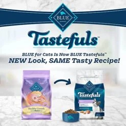 Pet Products Shop 15 Pet Products Shop -Pet Products Shop 51IQzlx5YdL