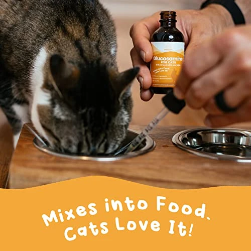 Paramount Pet Health Cat Glucosamine And Omega 3 Fish Oil Bundle 3 Paramount Pet Health Cat Glucosamine And Omega 3 Fish Oil Bundle