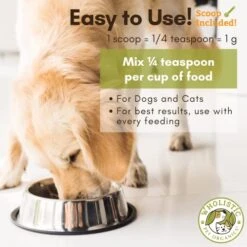 Wholistic Pet Organics: Dog Probiotics And Digestive Enzymes Powder Dog Prebiotic And Probiotic Supplement Prevents Upset Stomach Gut Health Probiotics For Dogs And Puppies Stool Ease For Dogs -Pet Products Shop 51IbWXWgUTL