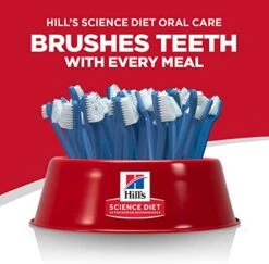 Hill's Science Diet Dry Cat Food, Adult, Oral Care, Chicken Recipe, 7 Lb. Bag -Pet Products Shop 51JLMCLVj2L