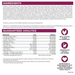 NutriSource Cat & Kitten Food, Made With Chicken And Rice, With Wholesome Grains, 6.6LB, Dry Cat Food -Pet Products Shop 51Jbv5u7fqL