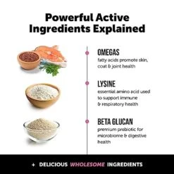 Pet Honesty Cat Multivitamin Chews - Supports Overall Immune Health, Joints, Skin & Coat, And Digestion | Omega 3s, Lysine For Cats, Probiotics, Cat Supplements & Vitamins - Chicken (30-Day Supply) 10 Pet Honesty Cat Multivitamin Chews - Supports Overall Immune Health, Joints, Skin & Coat, And Digestion | Omega 3s, Lysine For Cats, Probiotics, Cat Supplements & Vitamins - Chicken (30-Day Supply) -Pet Products Shop 51Jp9GFLIWL